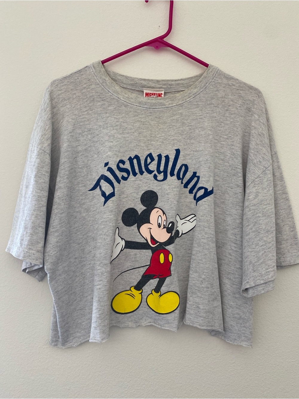 Vintage Disneyland Crop Top